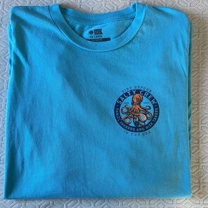 EUC electric blue short sleeve T!